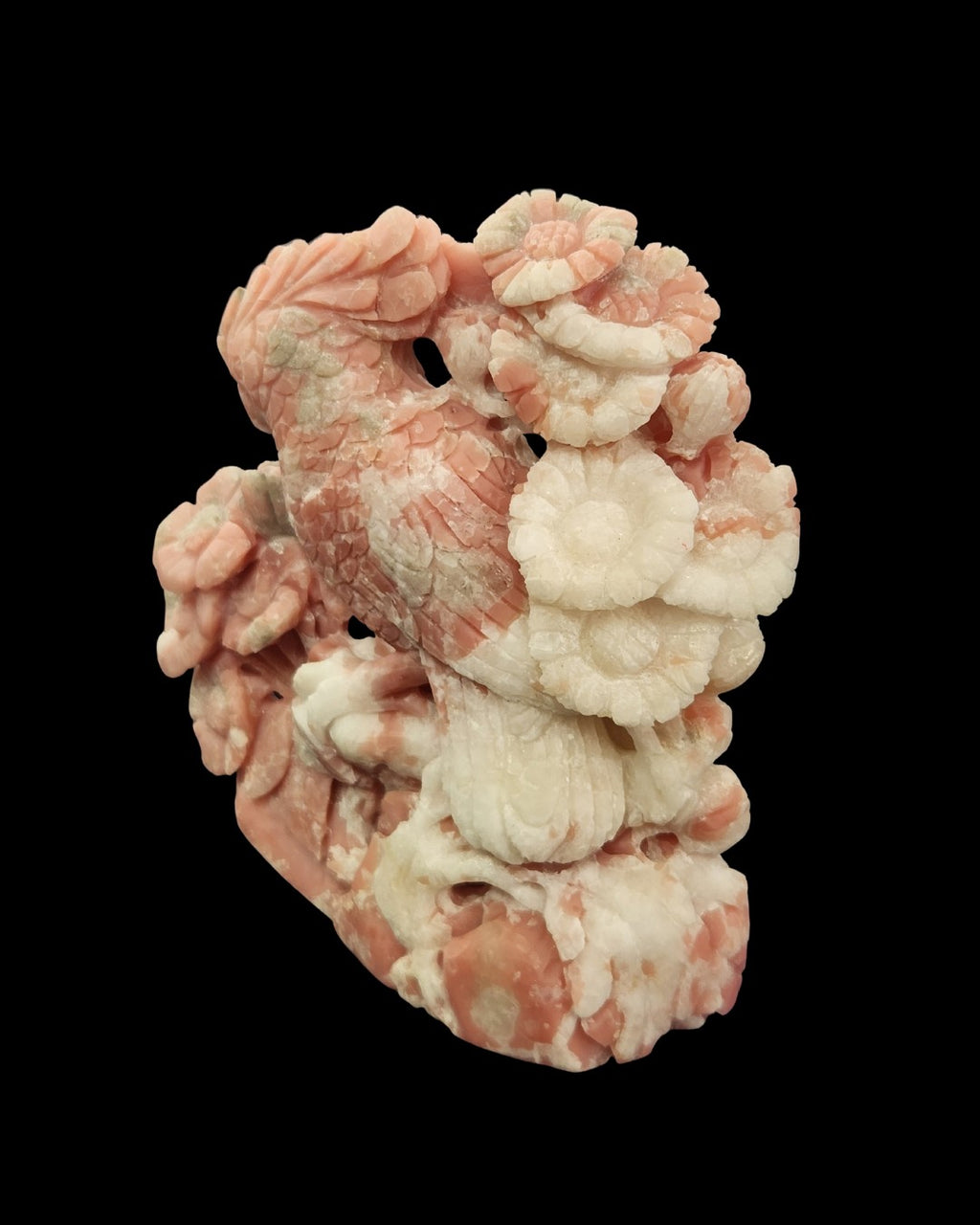 Parrot - Pink Opal