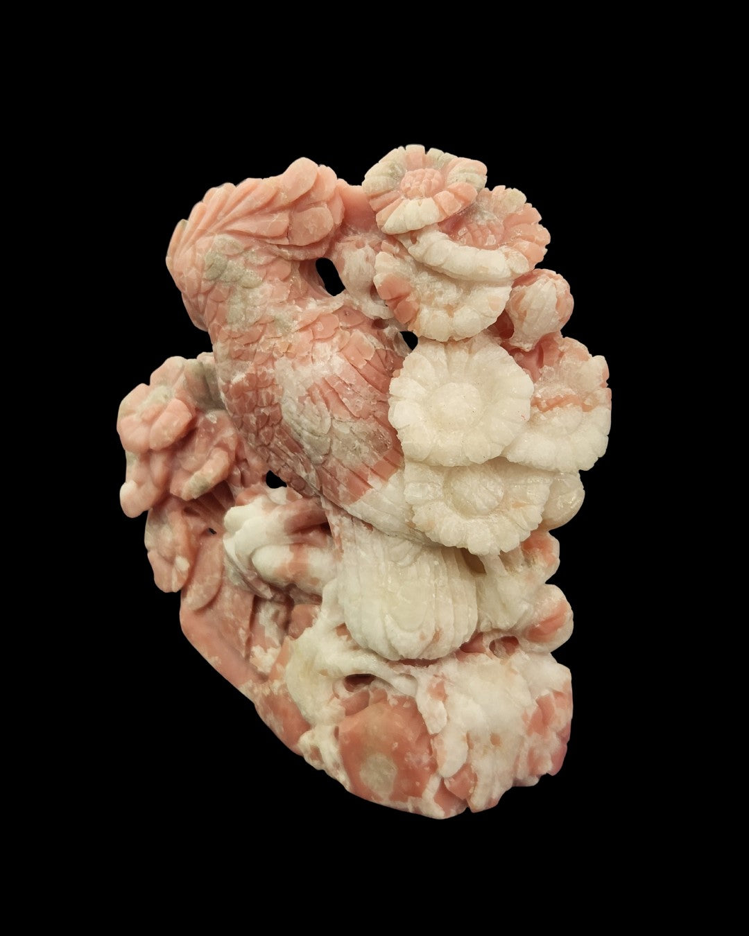 Parrot - Pink Opal