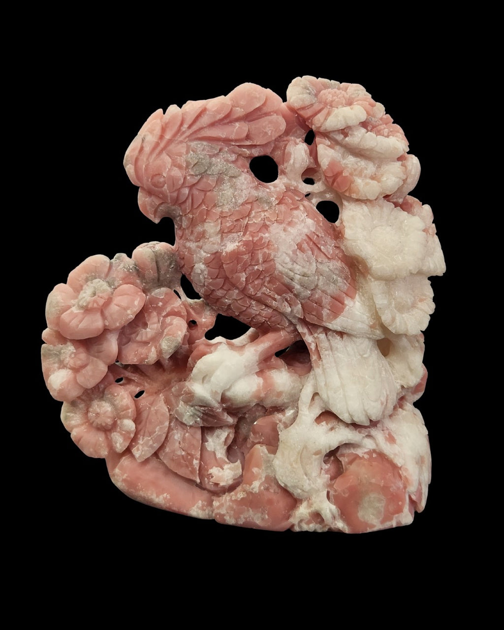 Parrot - Pink Opal