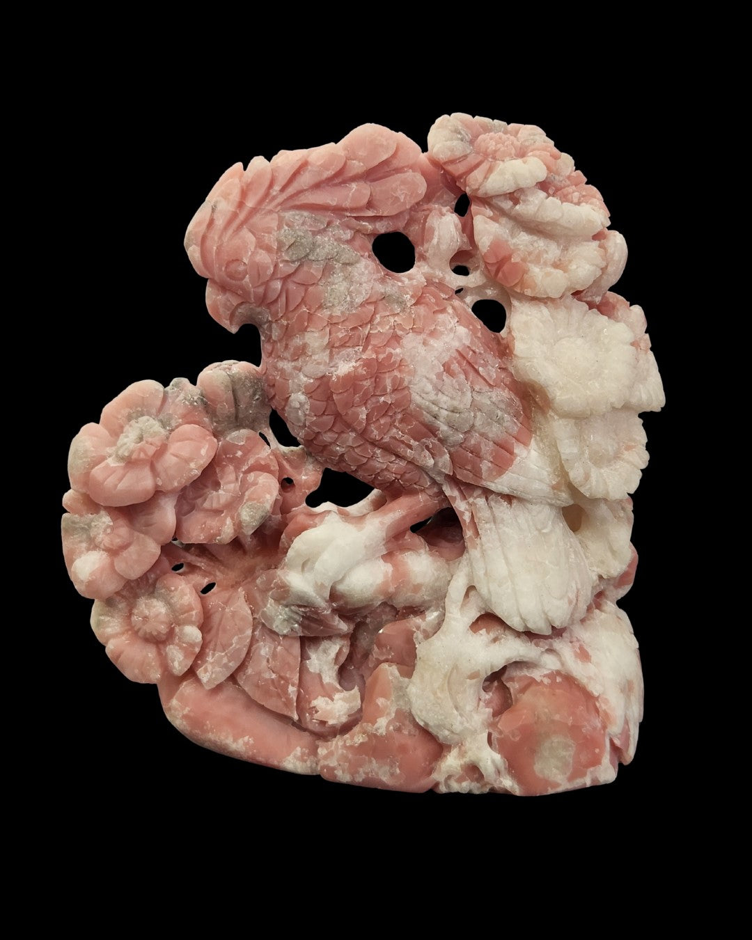 Parrot - Pink Opal