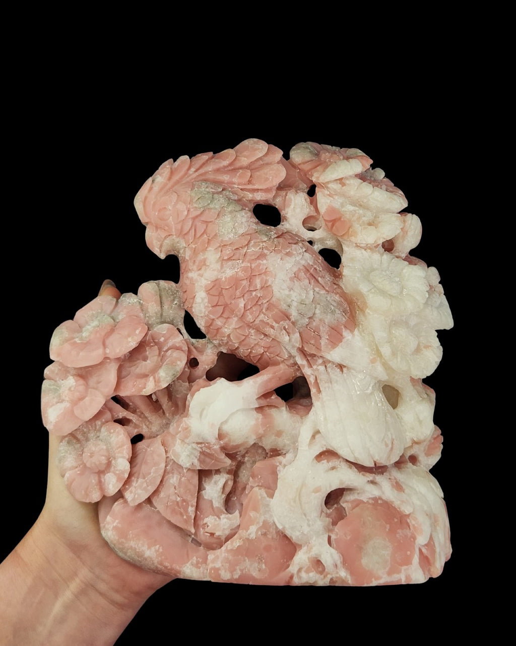 Parrot - Pink Opal