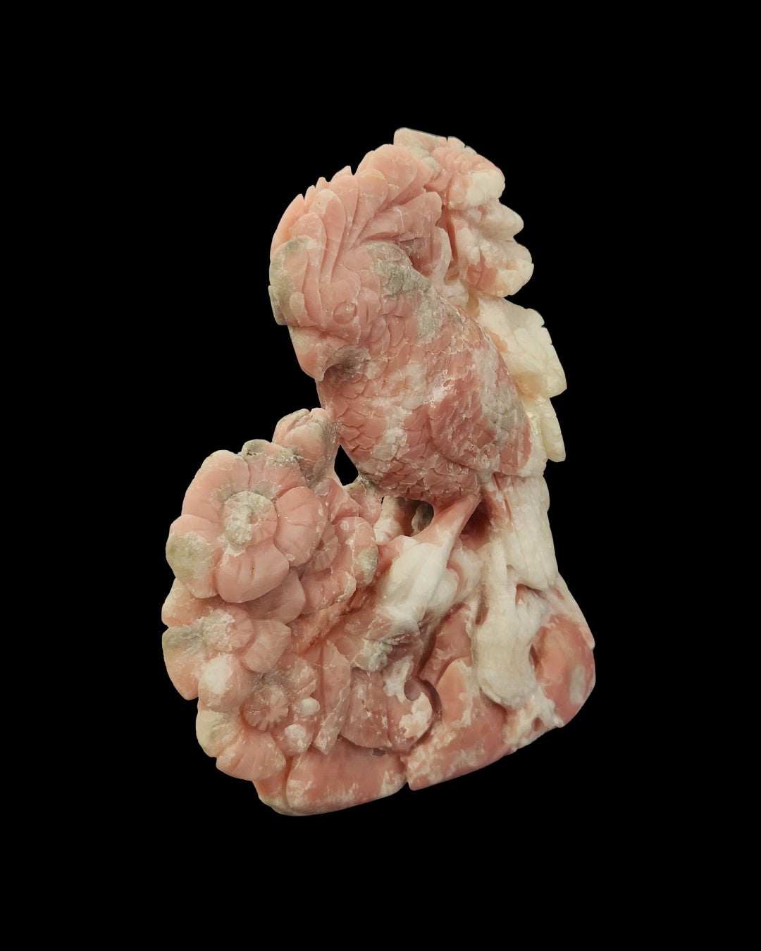 Parrot - Pink Opal