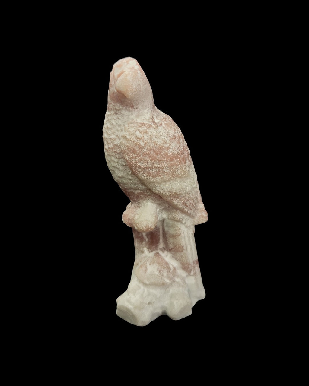 Parrot - Pink Opal