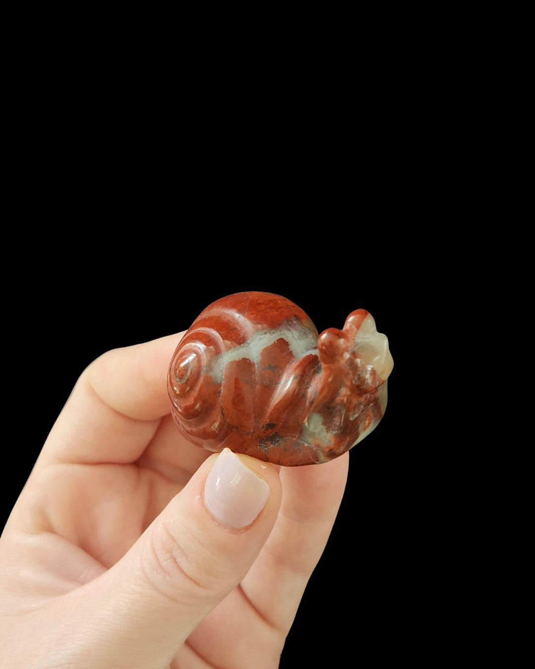 Snail - Red Jasper