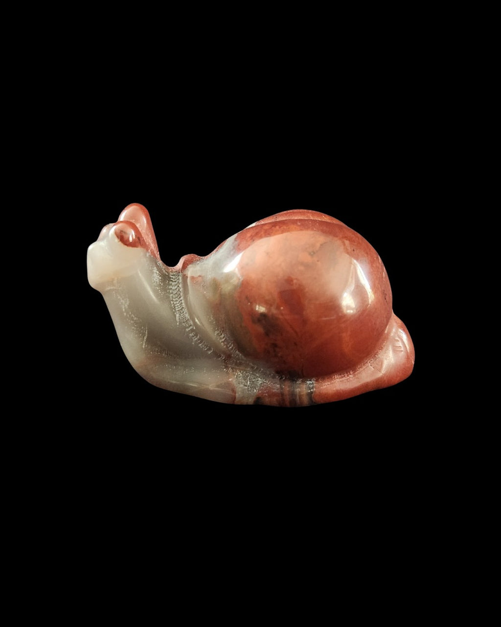 Snail - Red Jasper