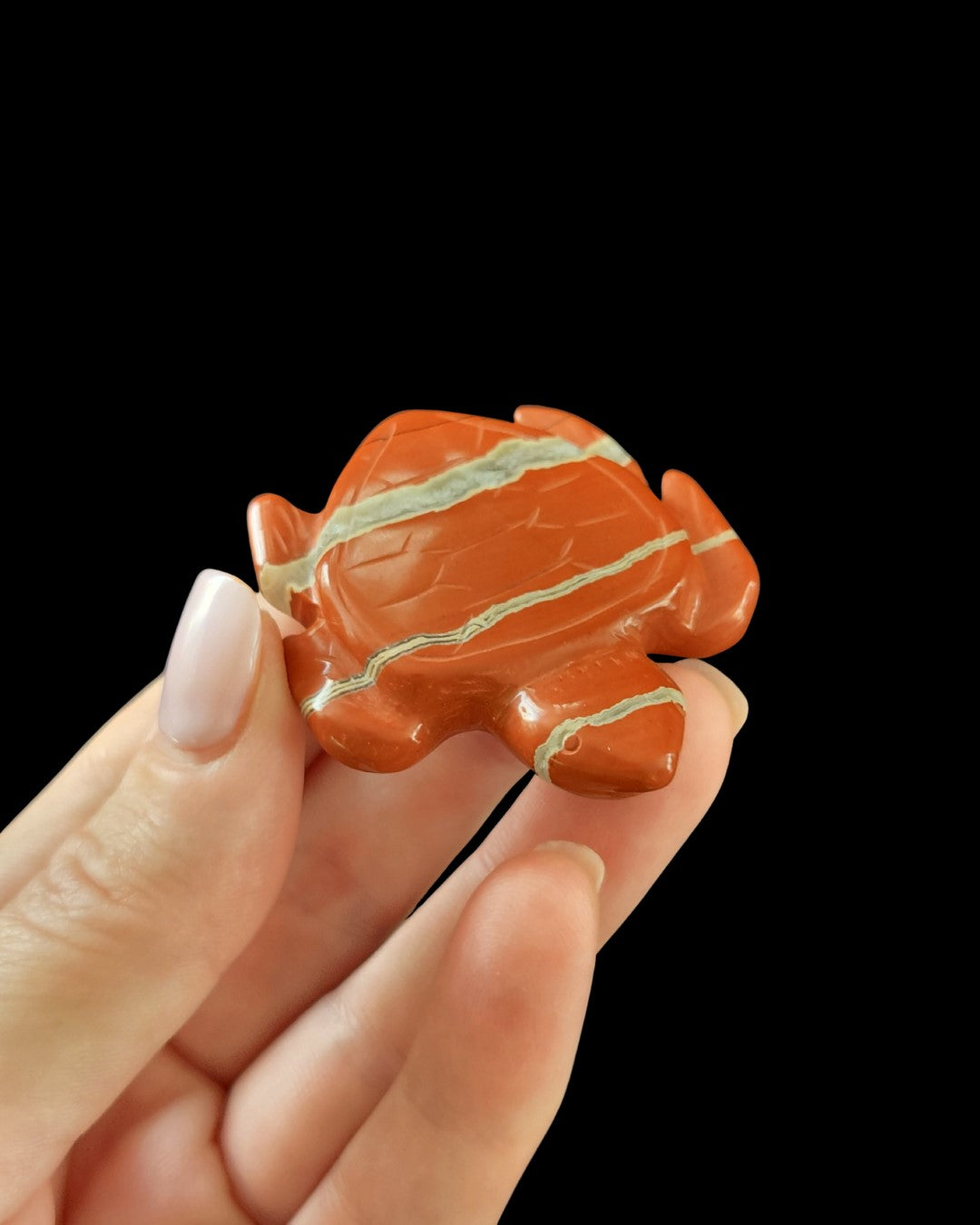 Turtle - Red Jasper