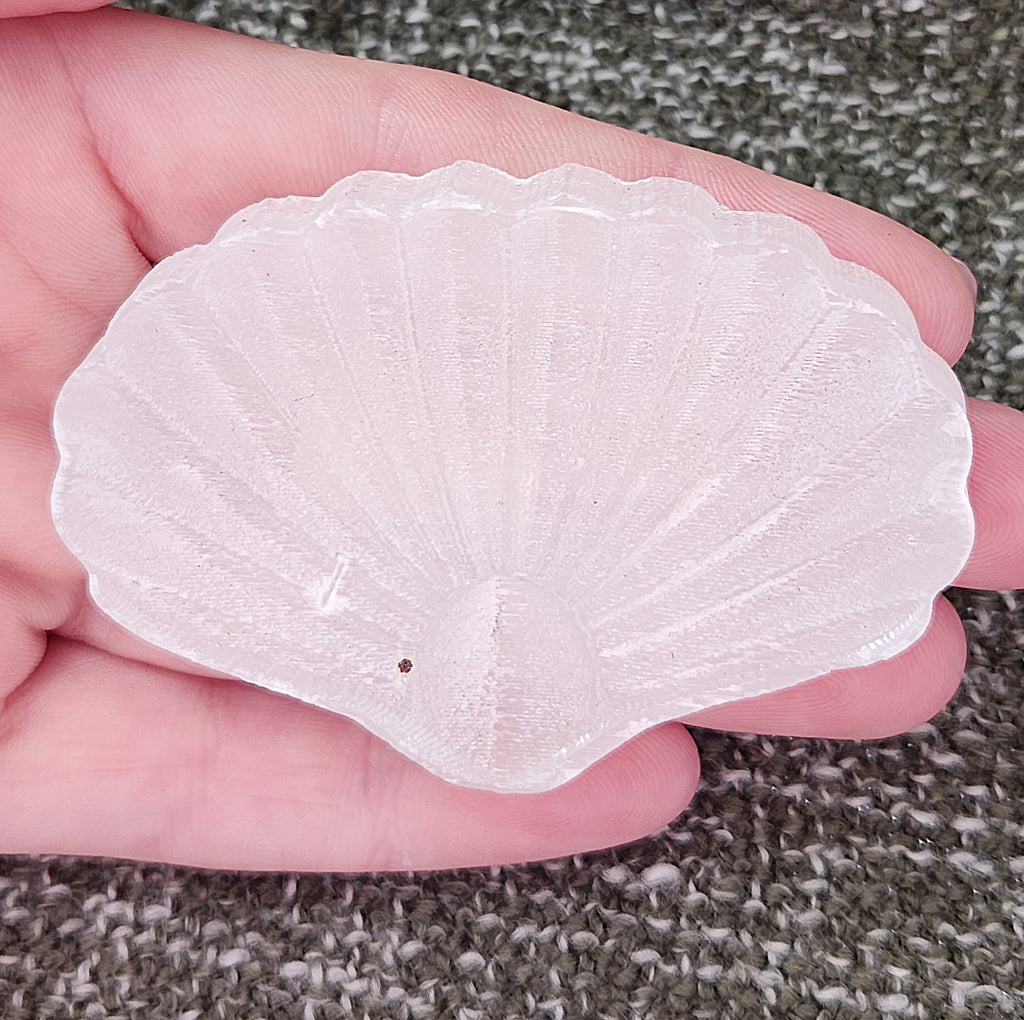 Shell - Selenite