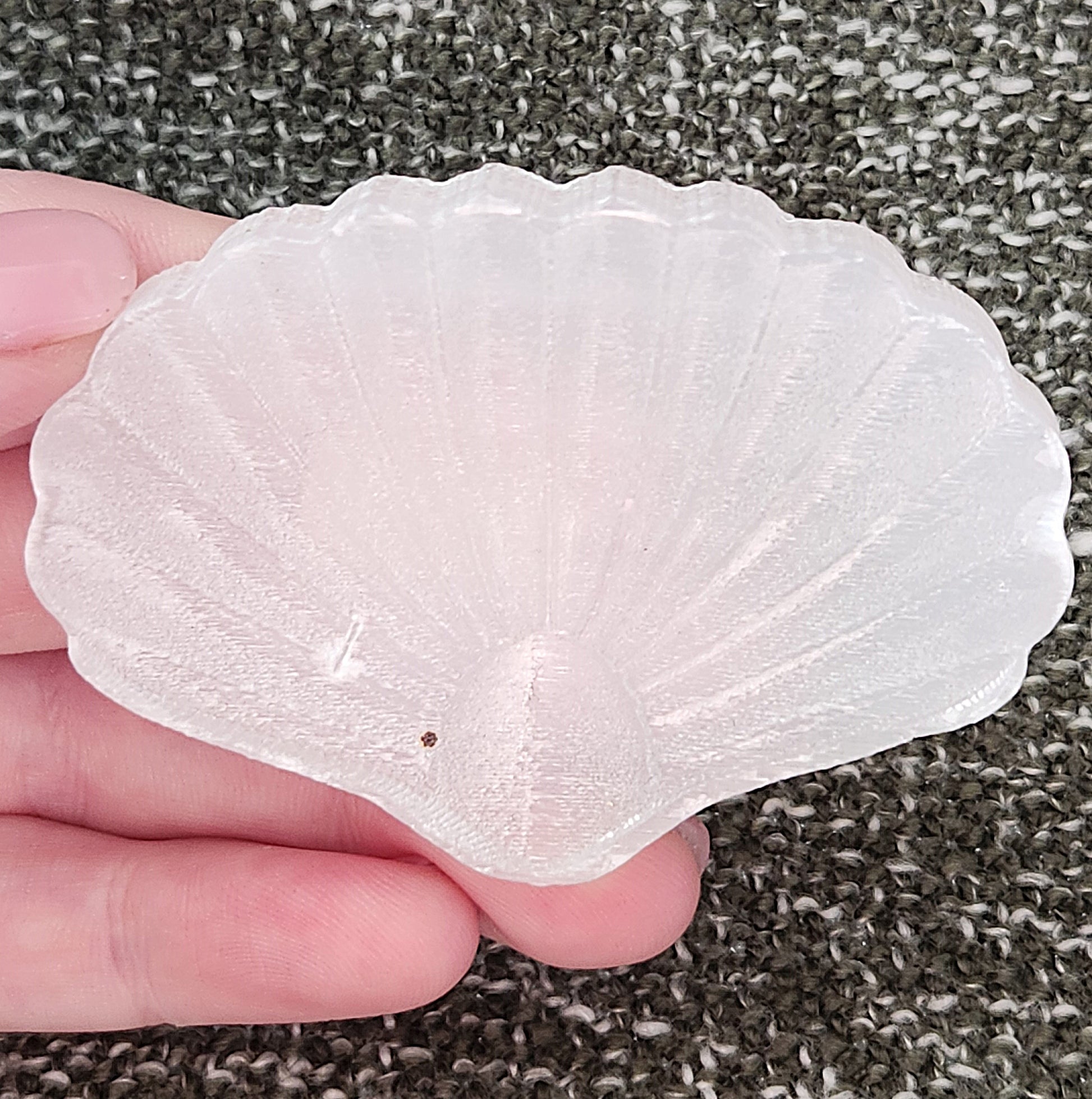 Shell - Selenite