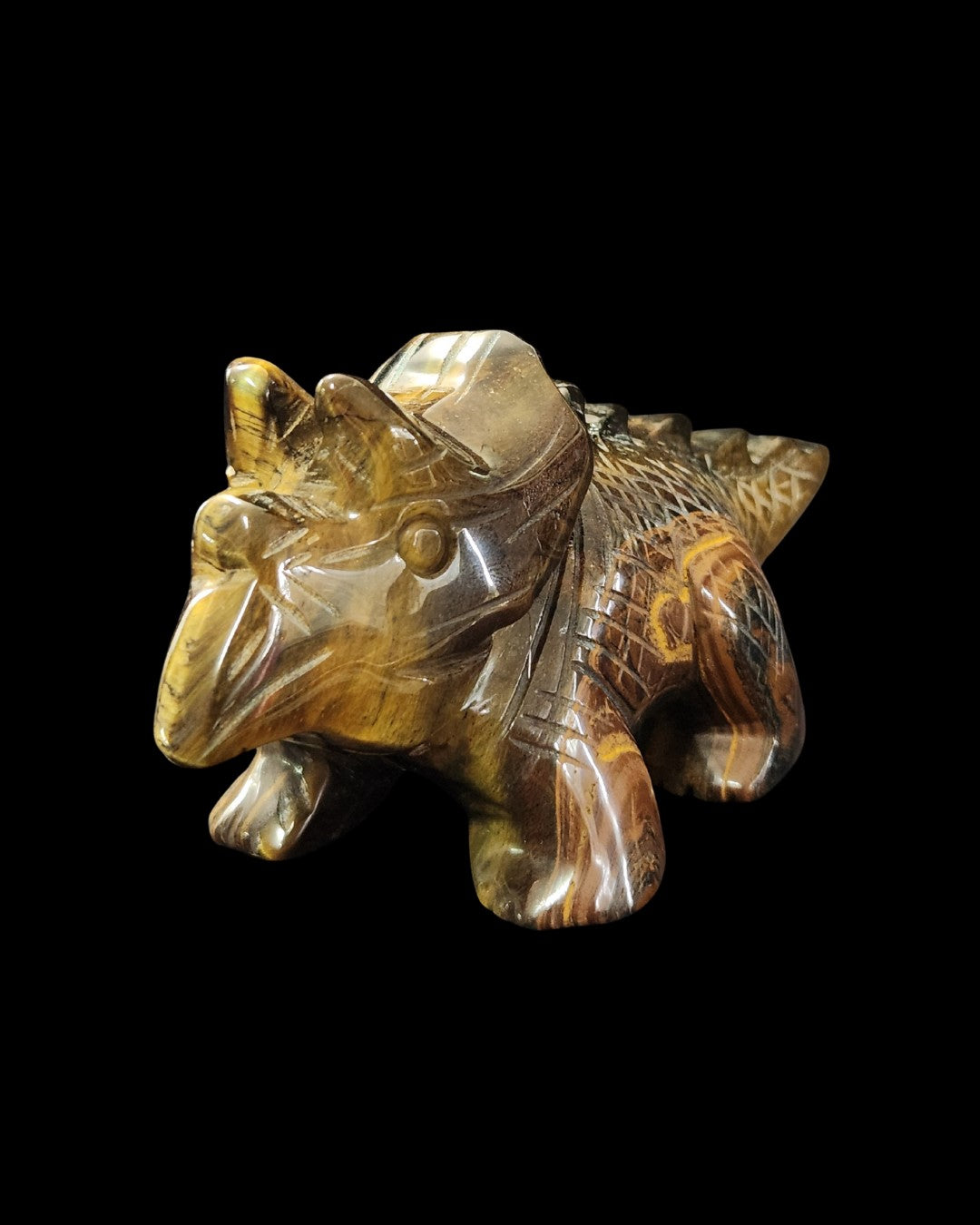 Triceratops - Tigers Eye