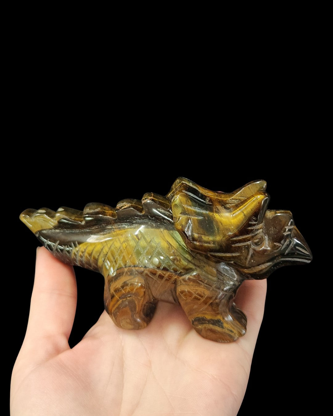Triceratops - Tigers Eye