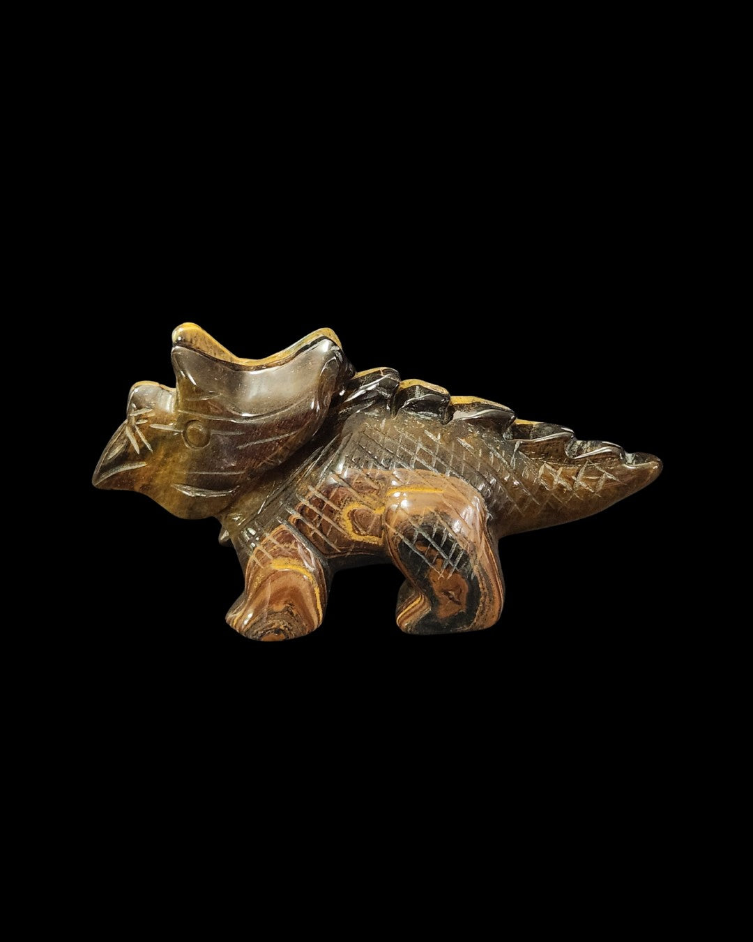 Triceratops - Tigers Eye