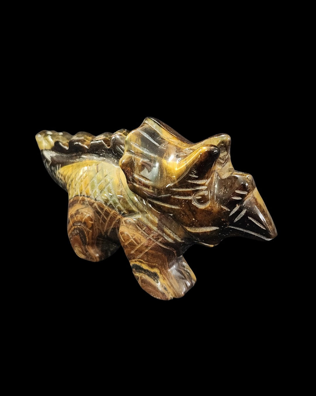 Triceratops - Tigers Eye