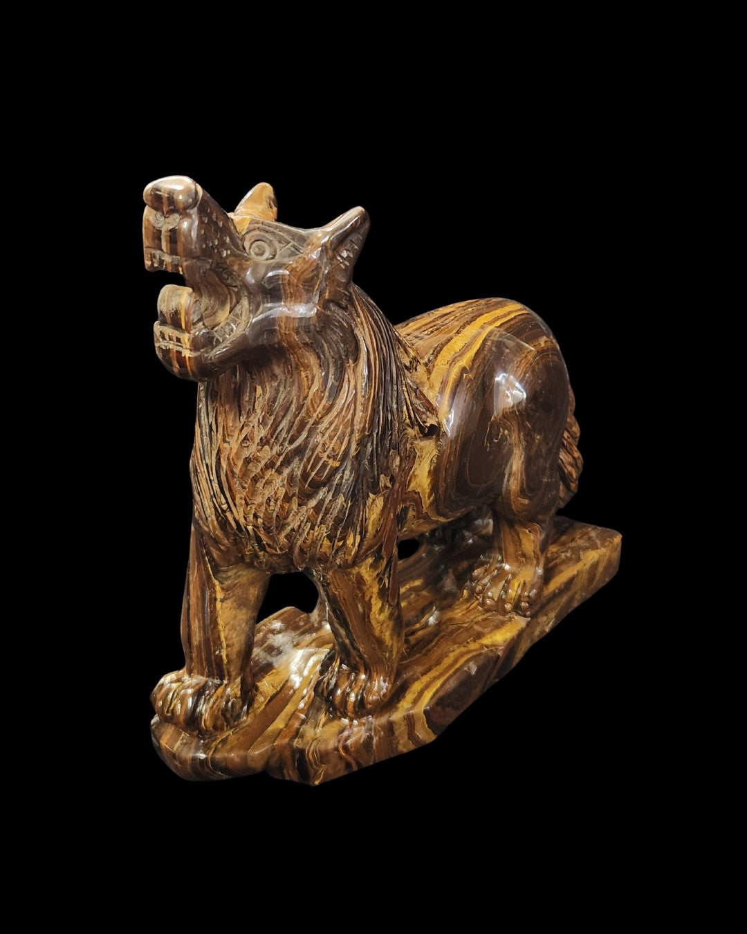 Wolf - Tigers Eye