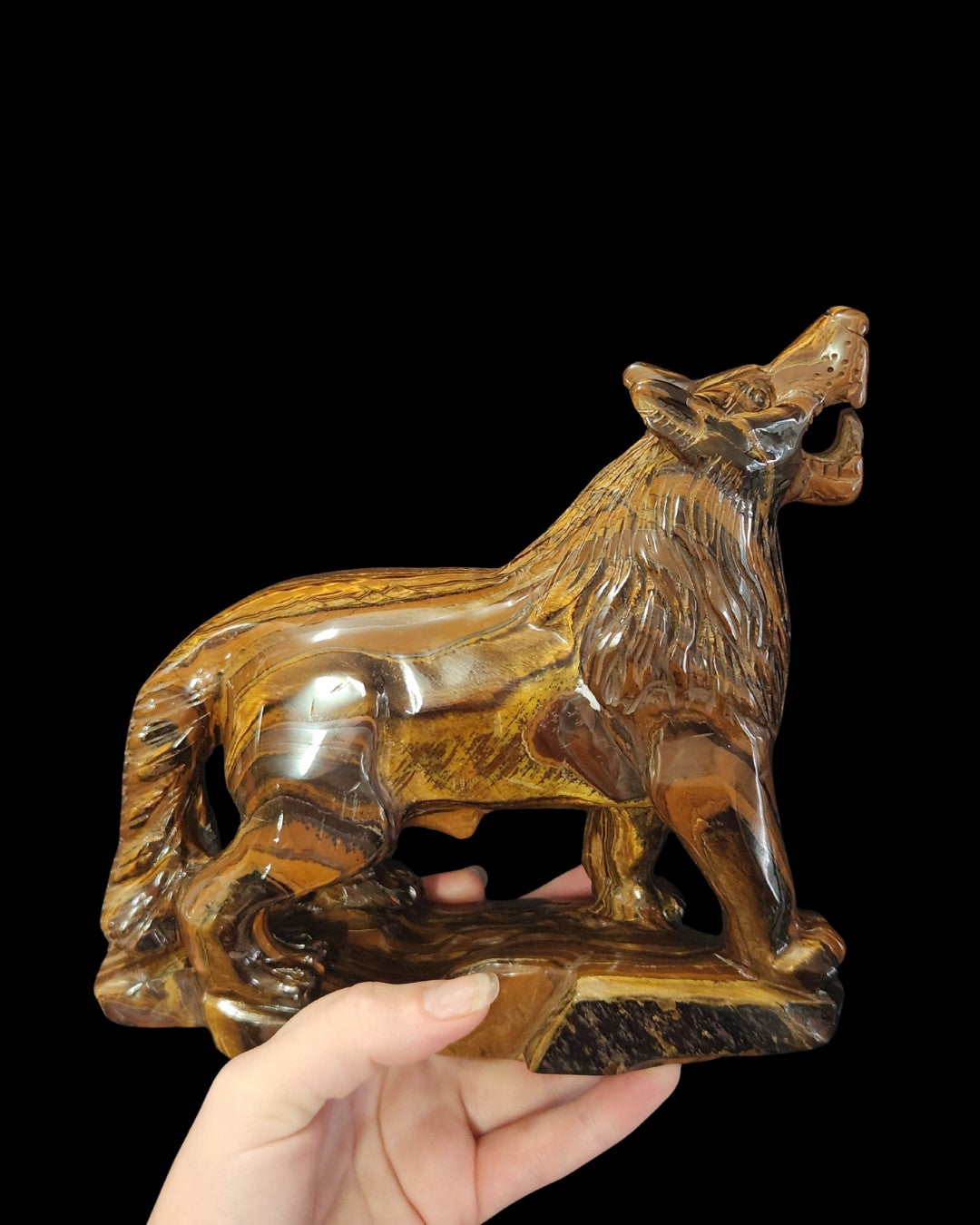 Wolf - Tigers Eye