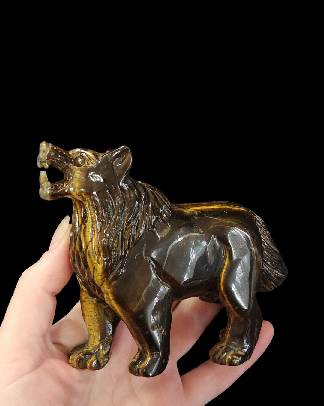 Wolf - Tigers Eye