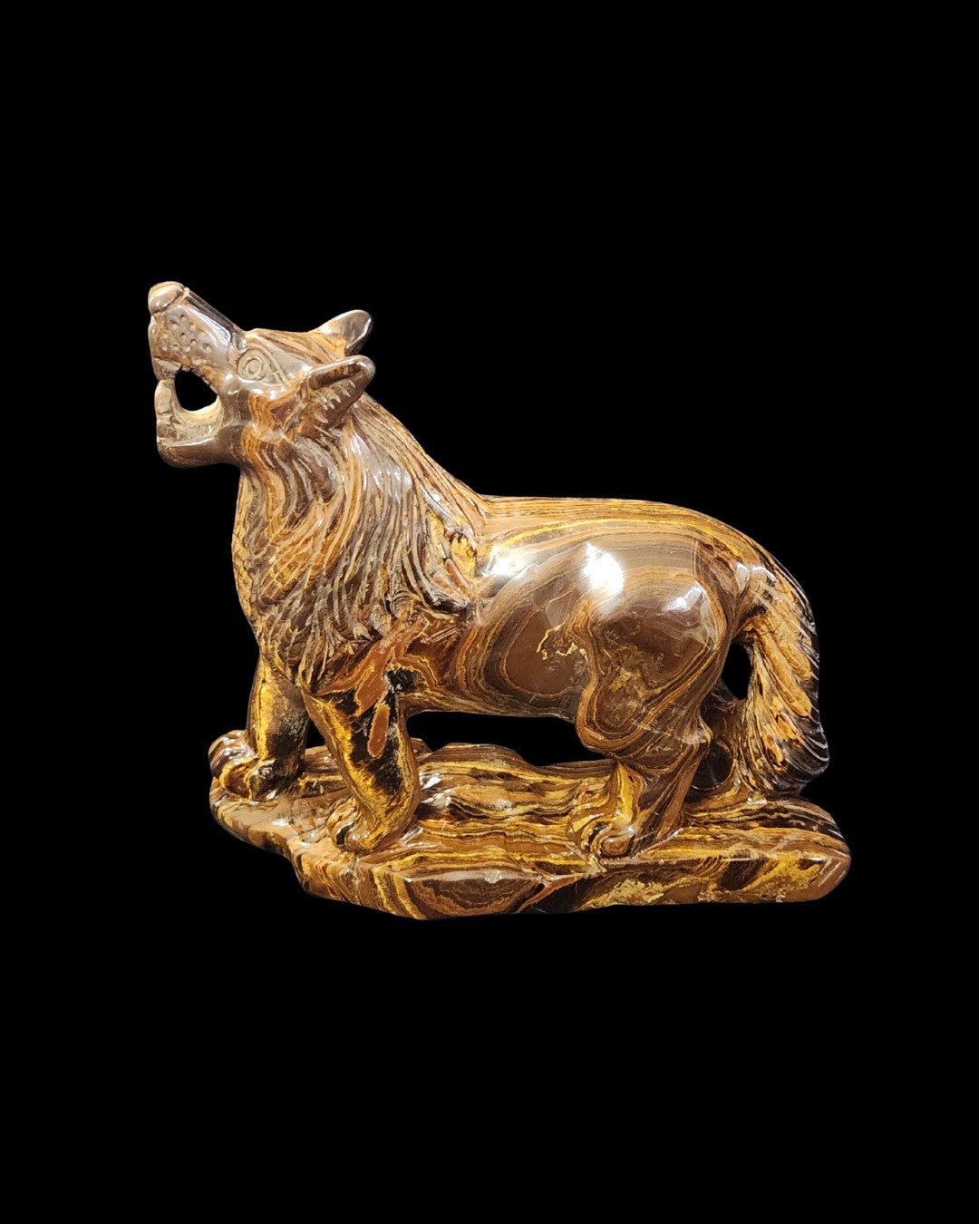 Wolf - Tigers Eye