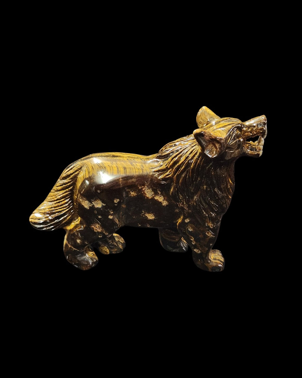 Wolf - Tigers Eye