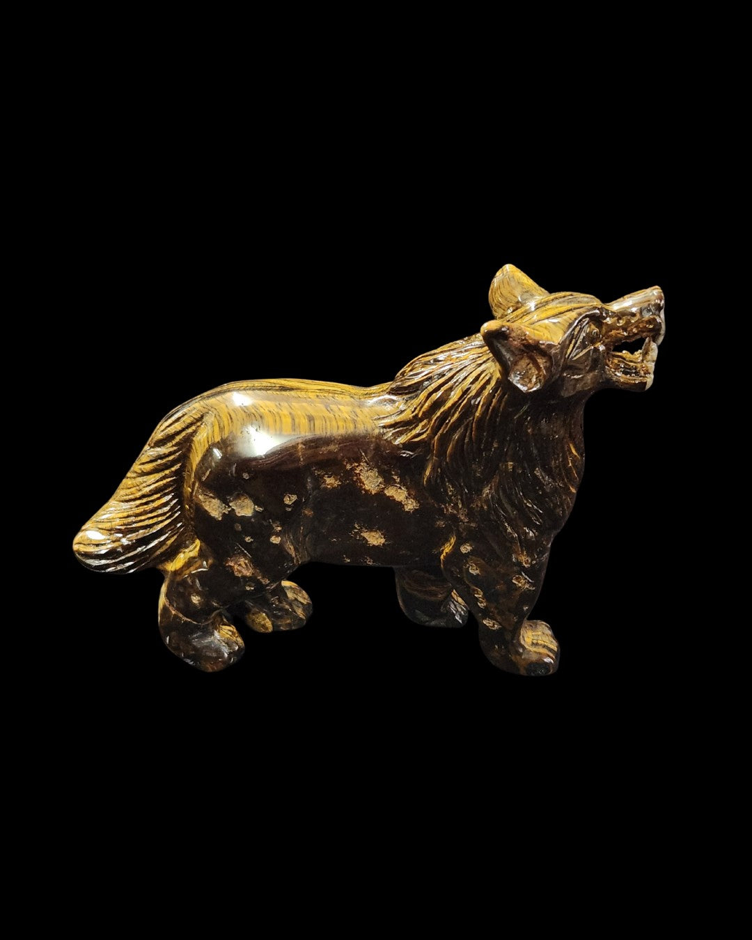 Wolf - Tigers Eye
