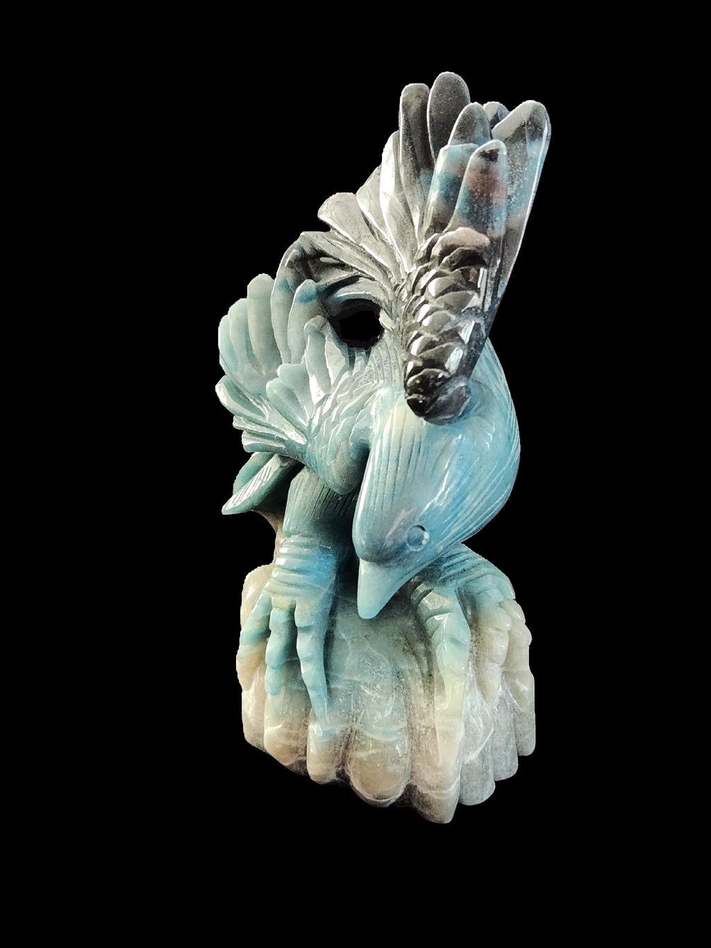 Eagle (Polished)- Trolleite