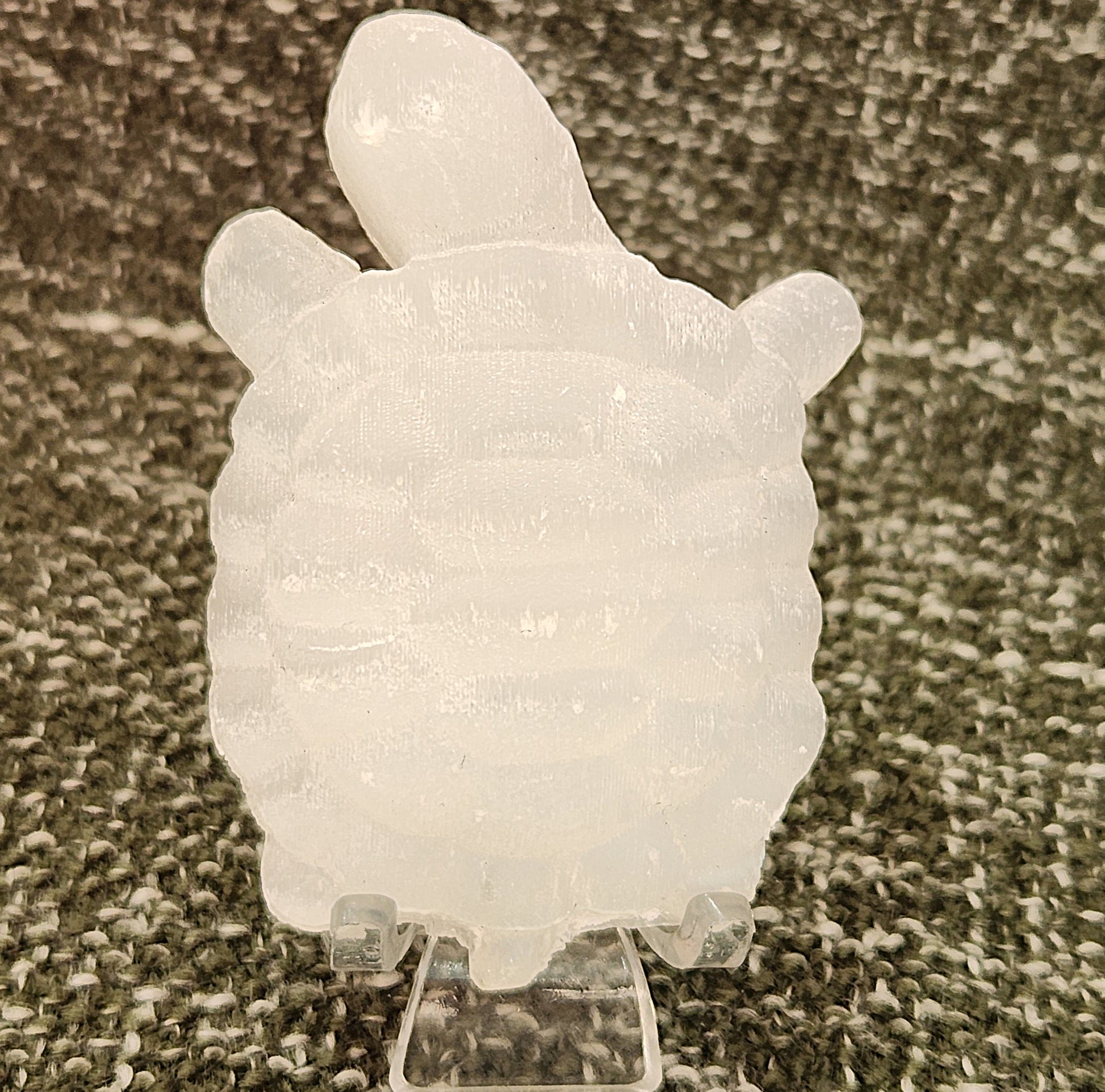 Turtle - Selenite
