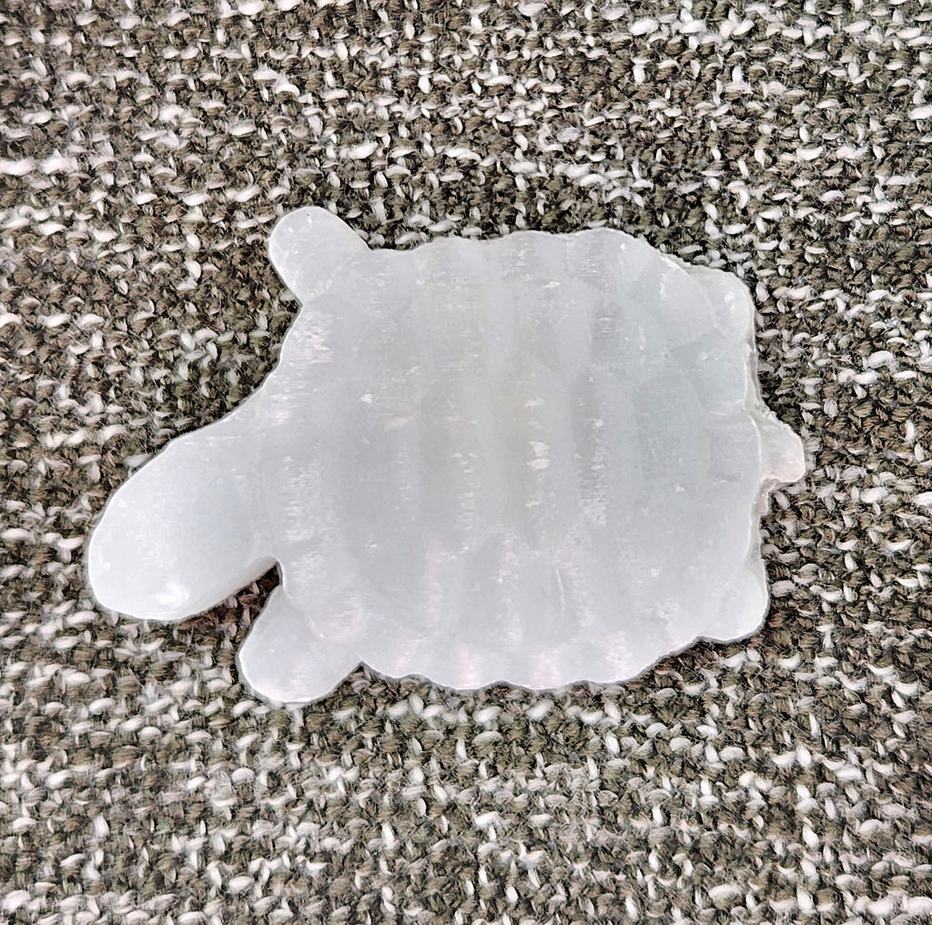 Turtle - Selenite