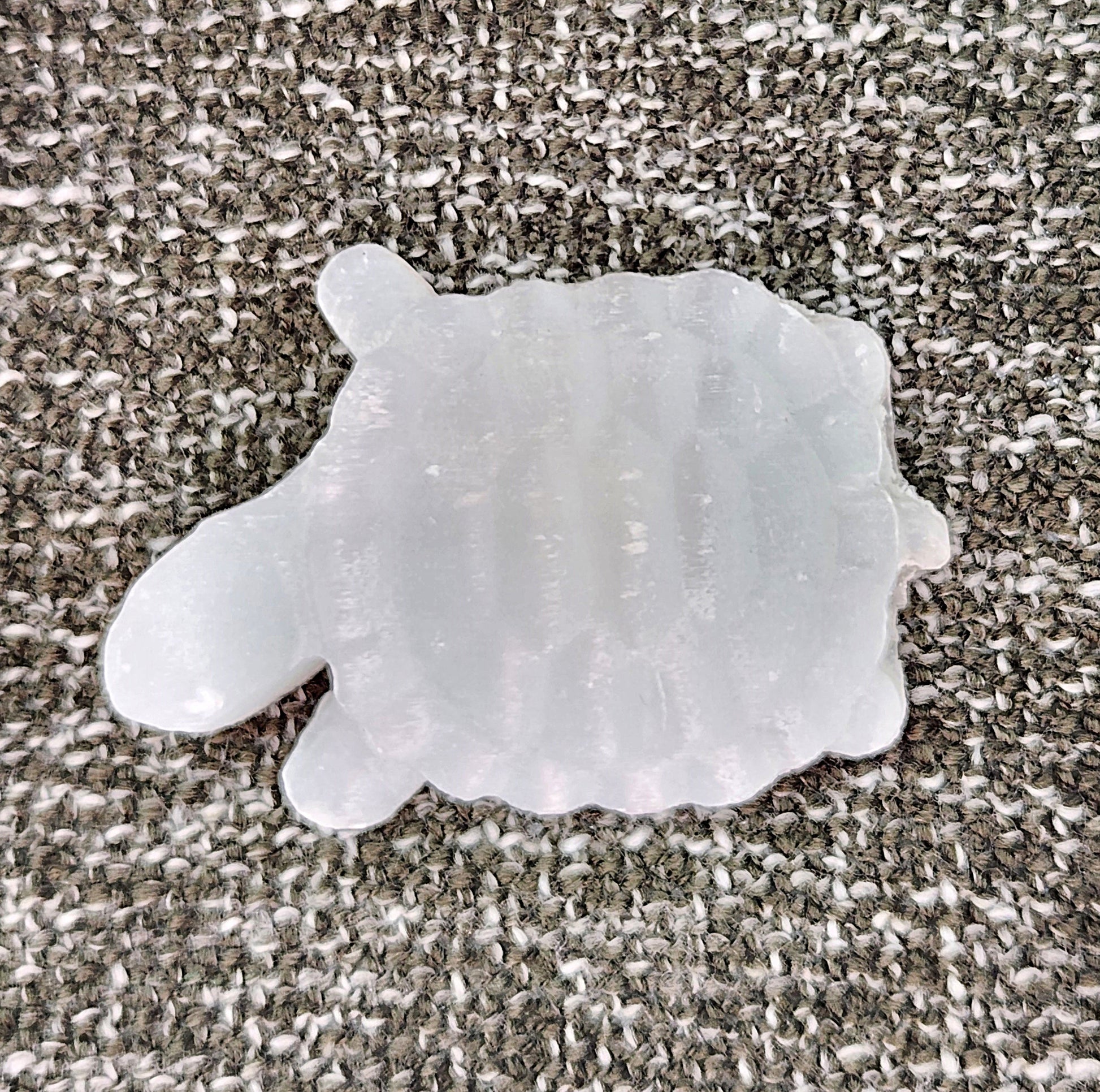 Turtle - Selenite