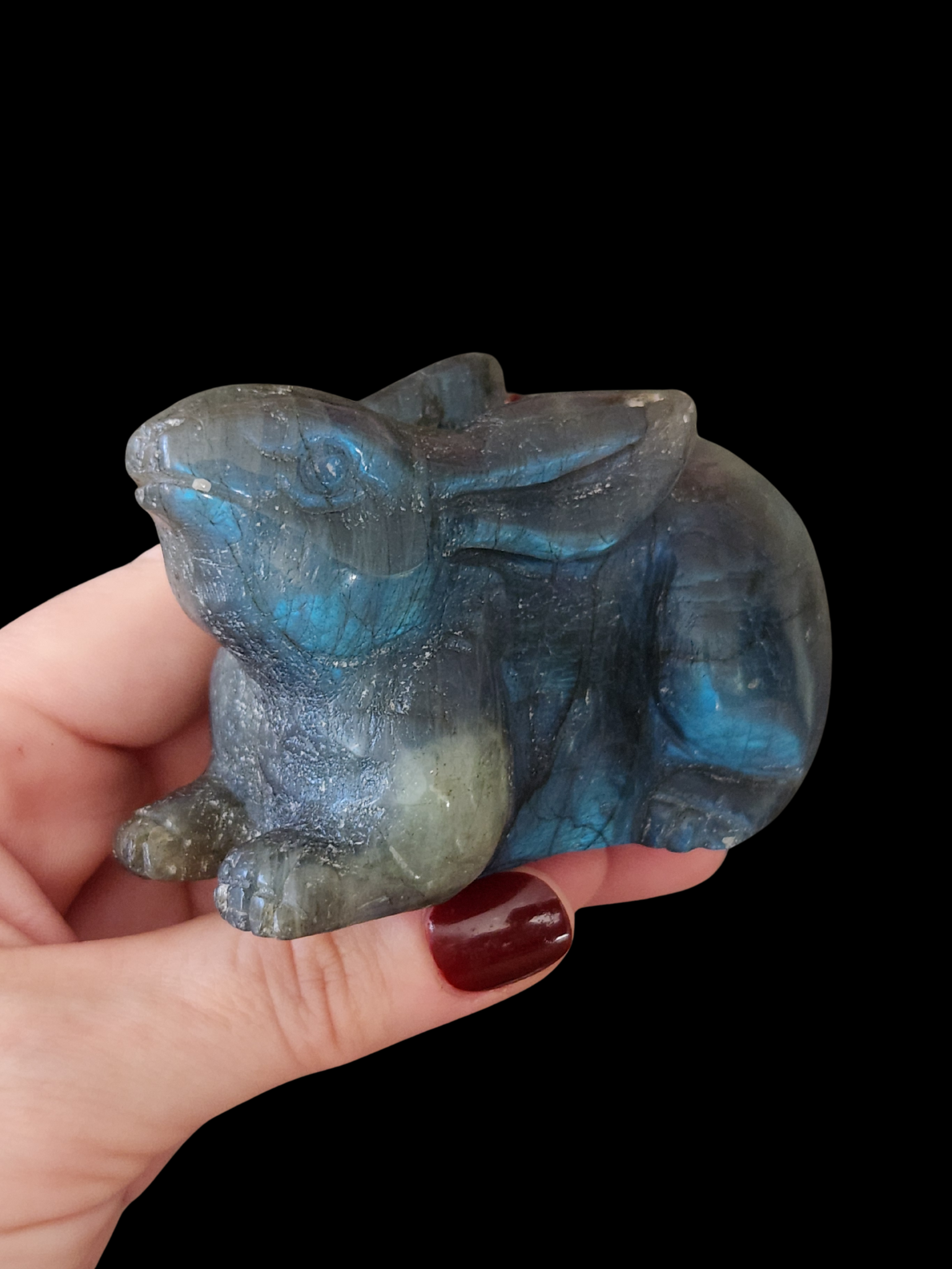 Rabbit - Labradorite