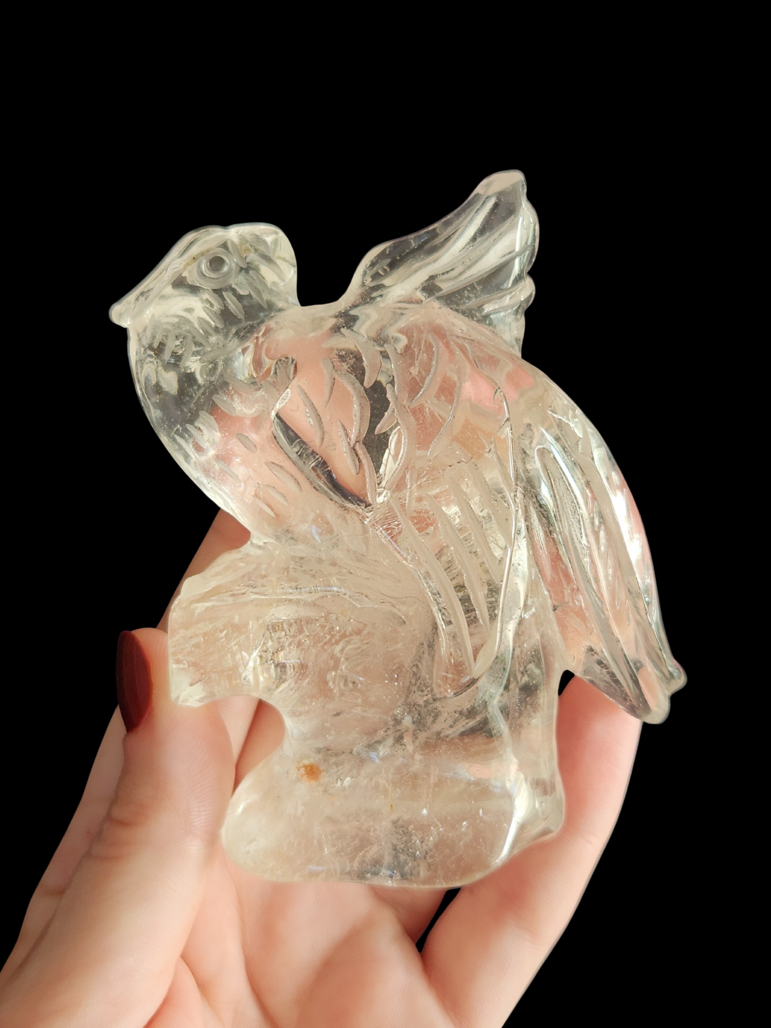Parrot - Clear Quartz