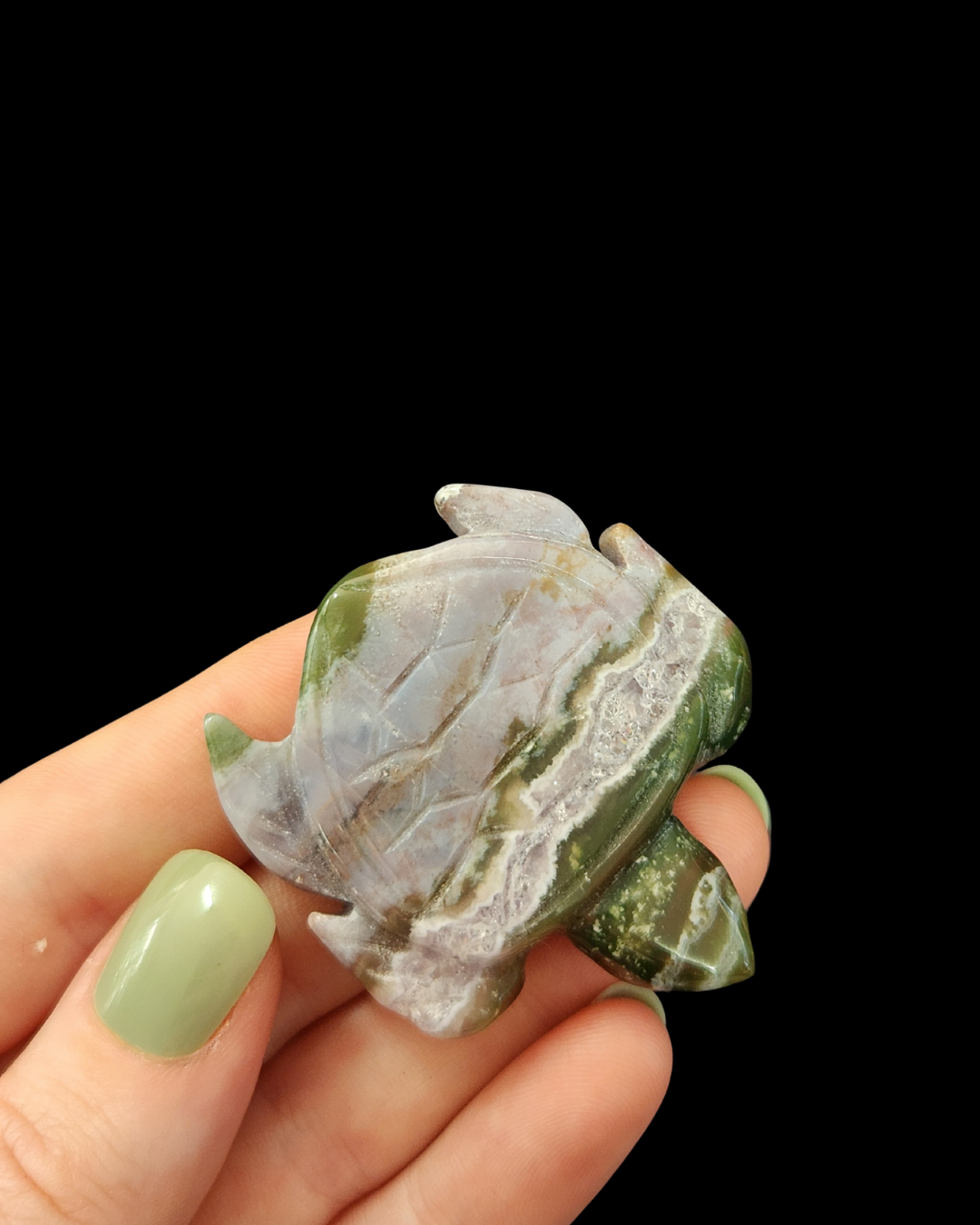 Turtle - Ocean Jasper