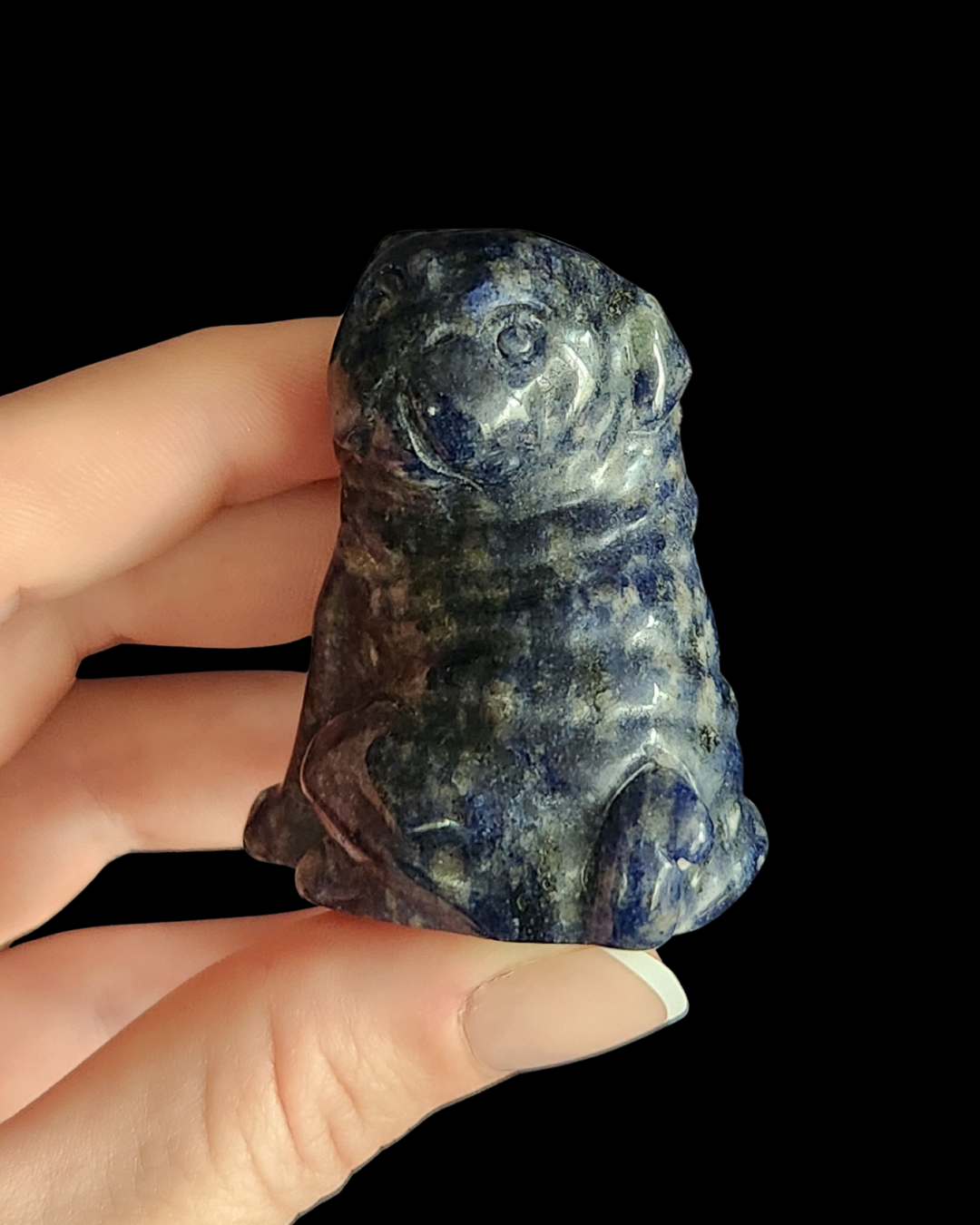 Pug - Lapis Lazuli