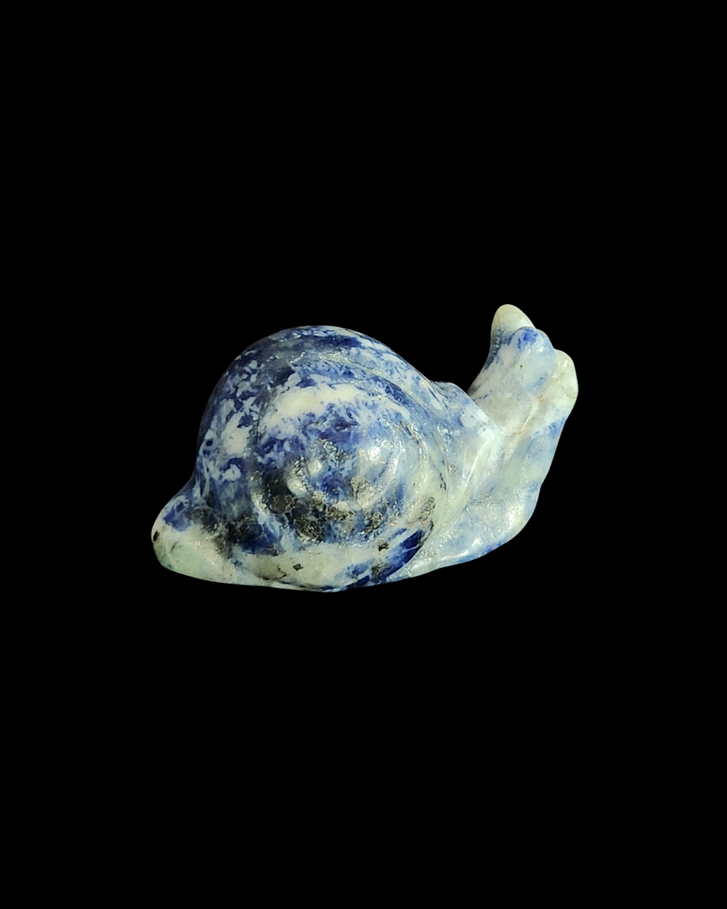 Snail - Lapis Lazuli