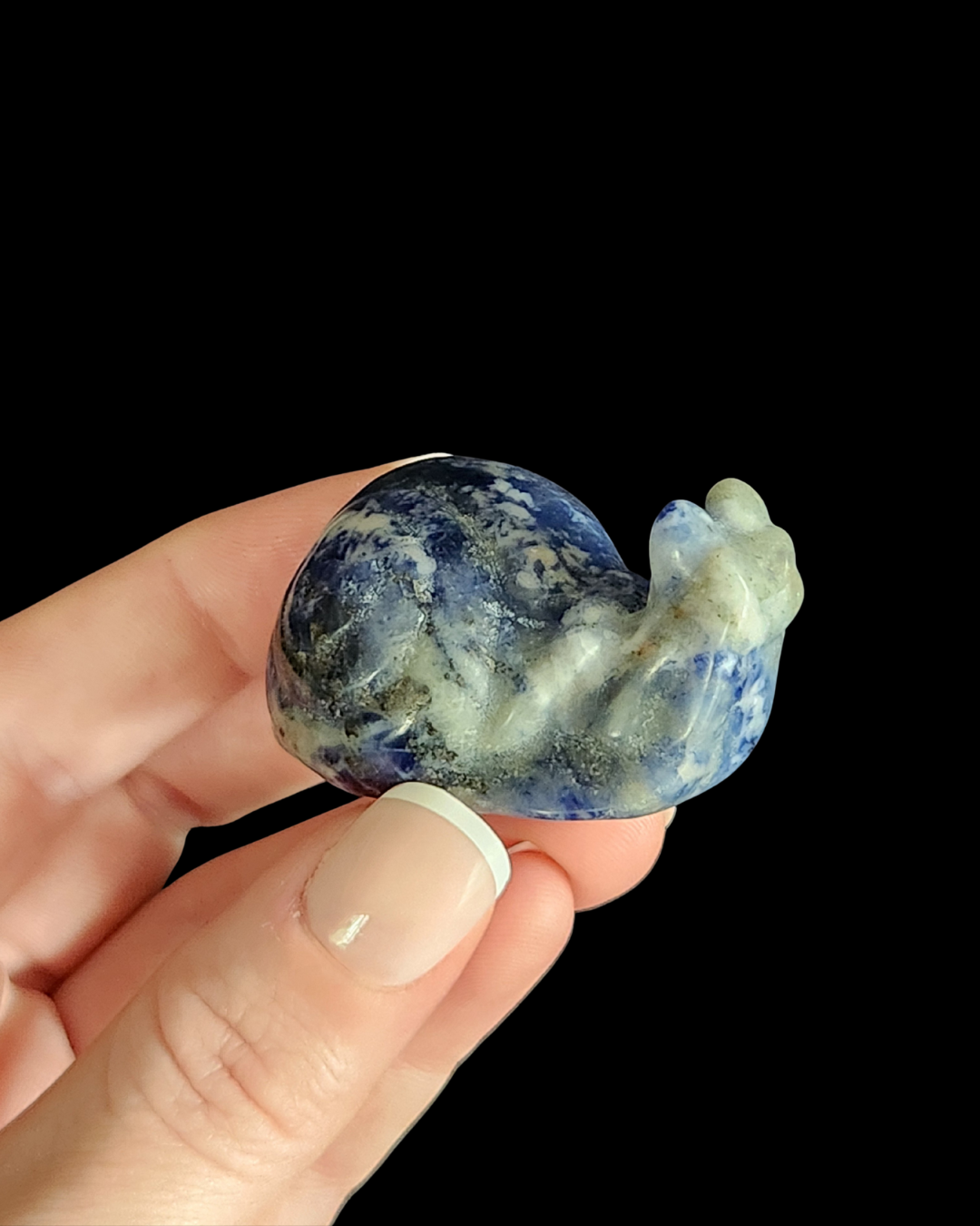 Snail - Lapis Lazuli