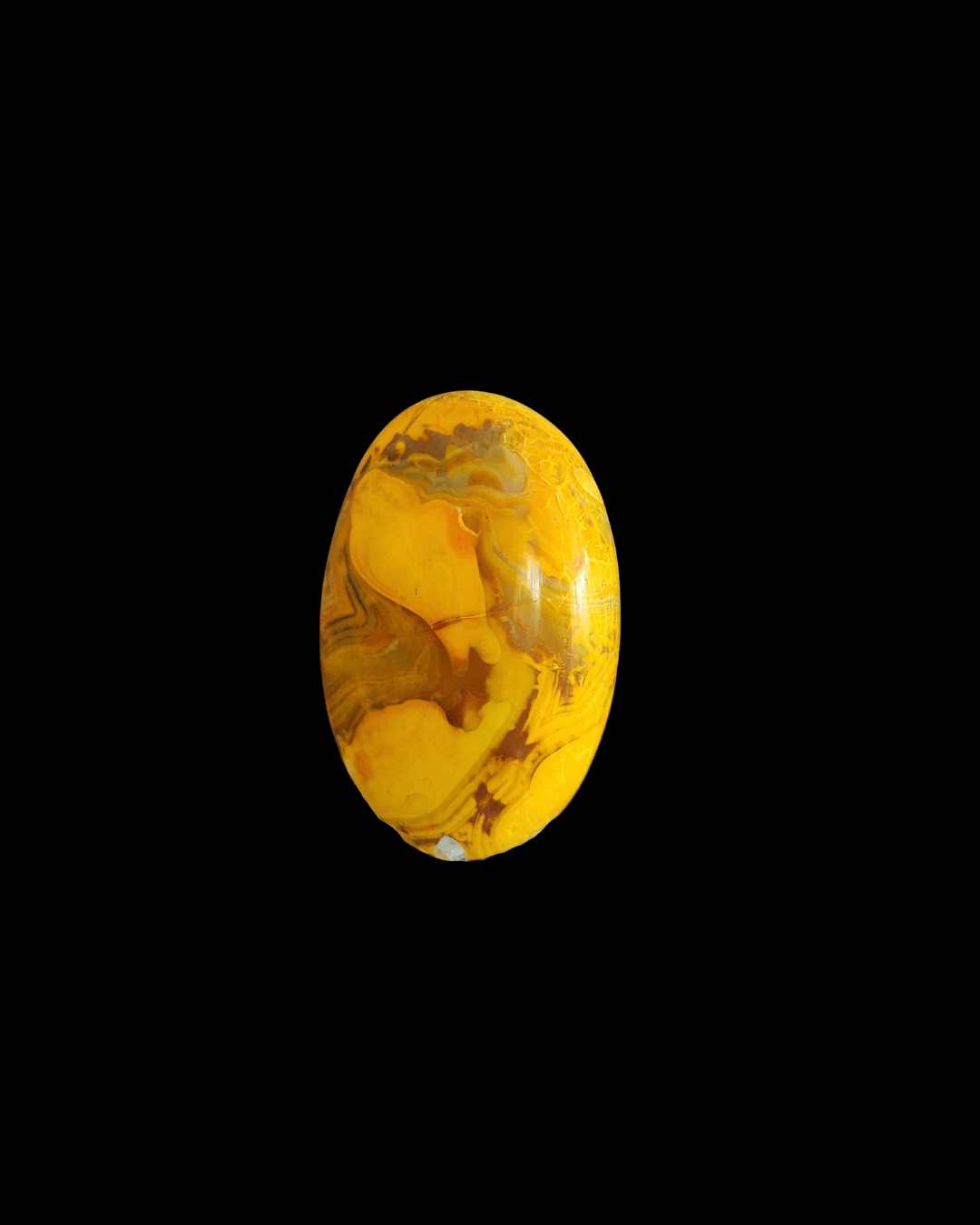 Palm Stone - Bumble Bee Jasper