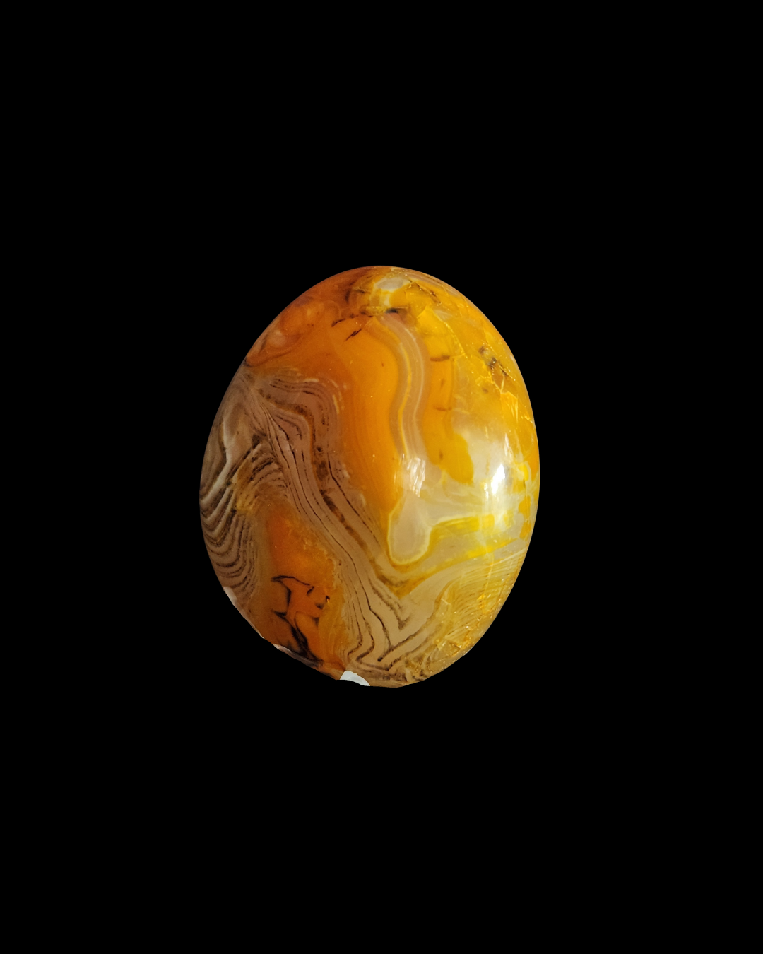 Palm Stone - Bumble Bee Jasper