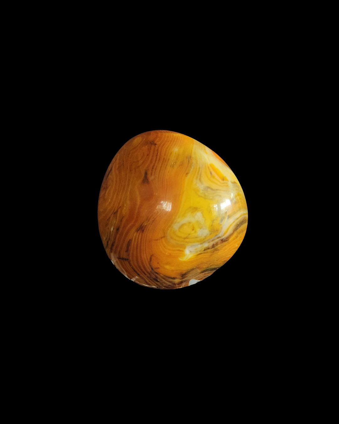 Palm Stone - Bumble Bee Jasper