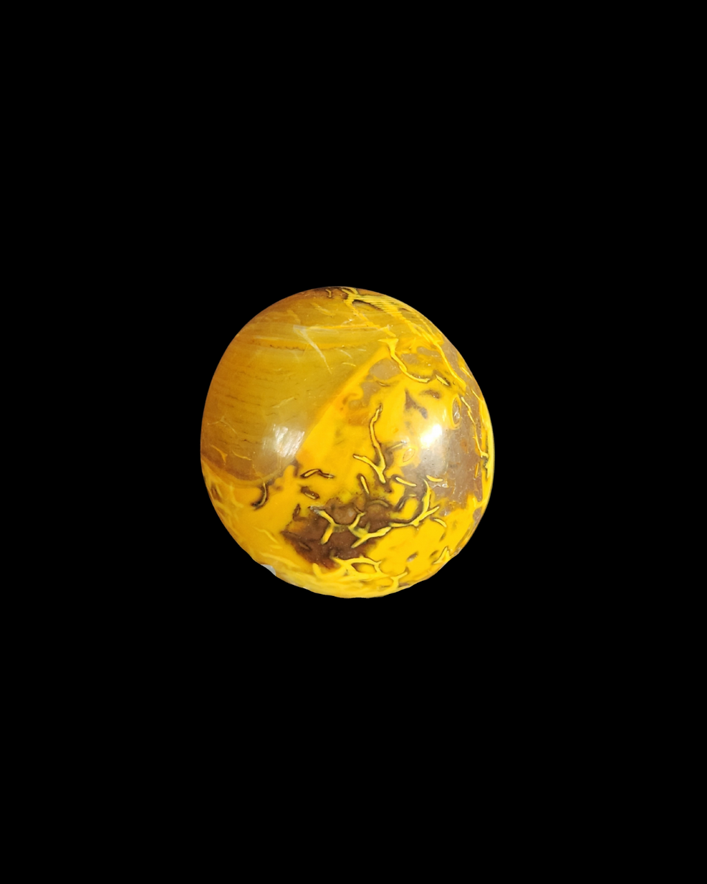 Palm Stone - Bumble Bee Jasper