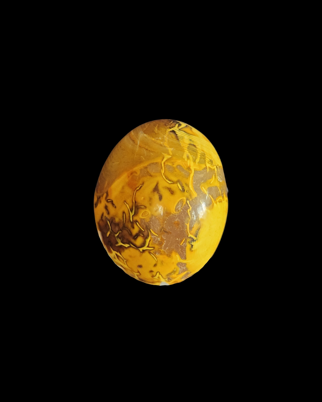 Palm Stone - Bumble Bee Jasper