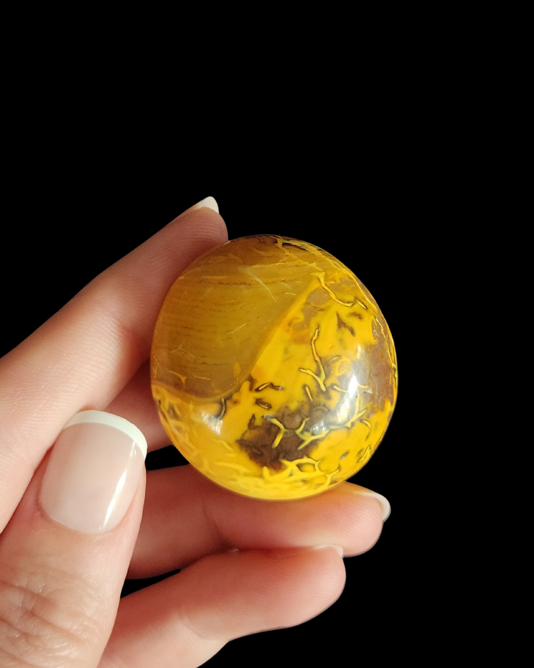 Palm Stone - Bumble Bee Jasper