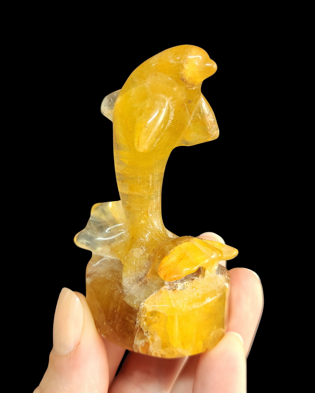 Dolphin - Citrine