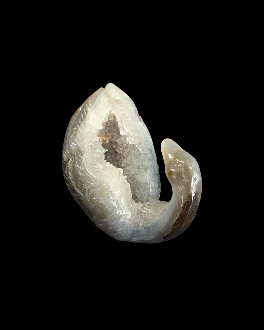 Swan - Agate Geode