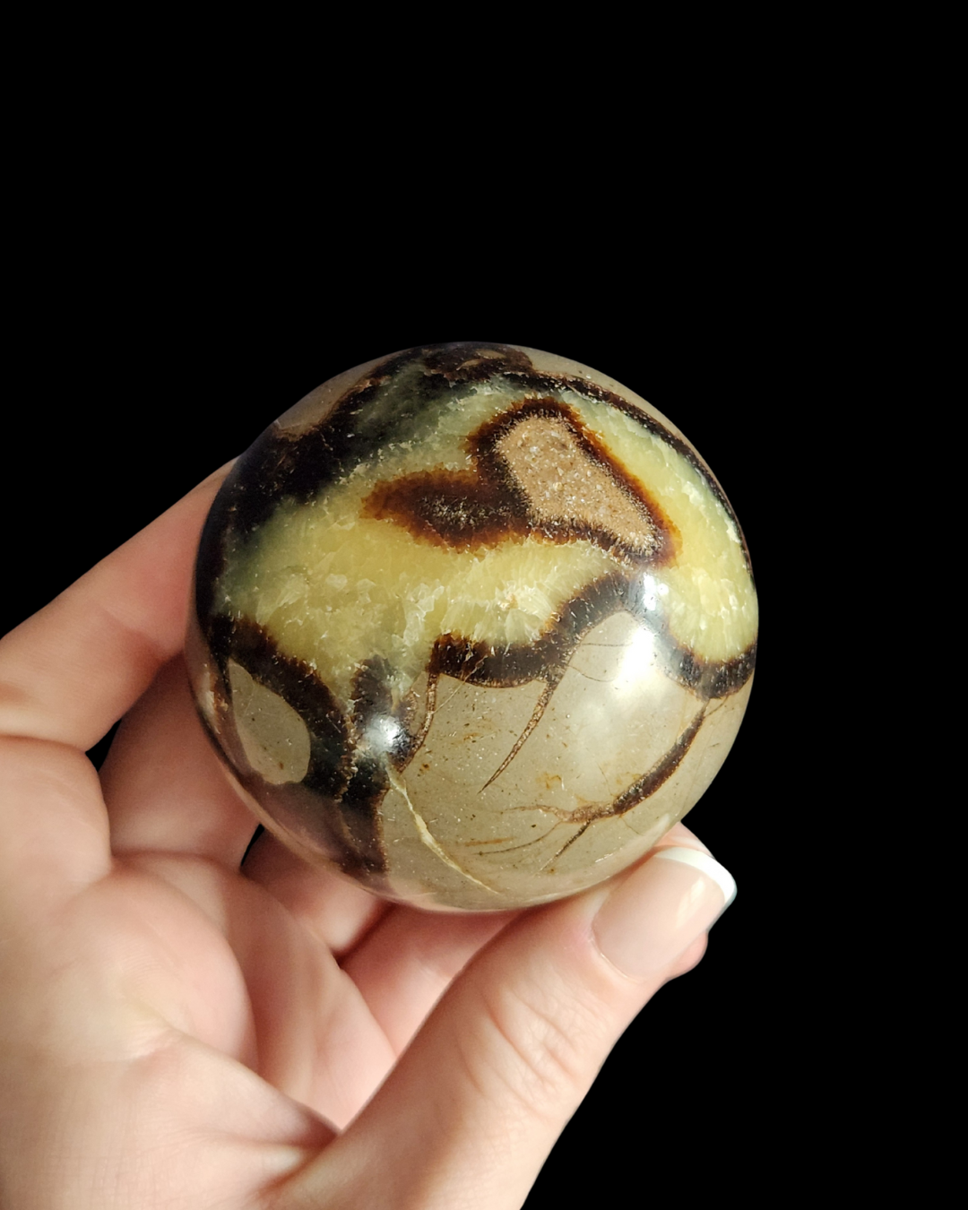 Sphere - Septarian