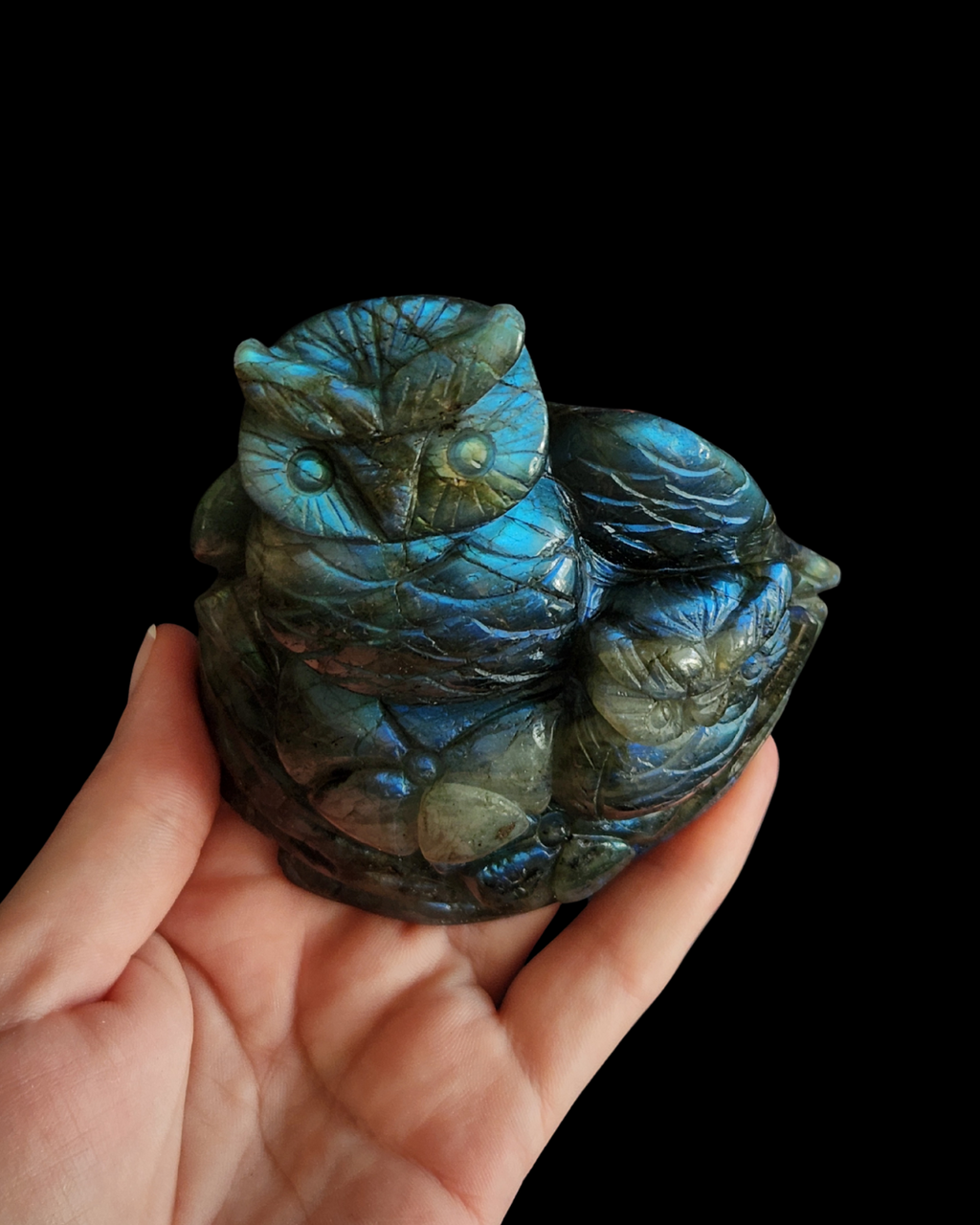Owl - Labradorite