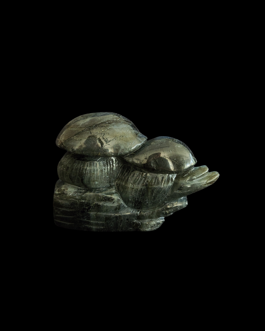 Mushroom - Labradorite