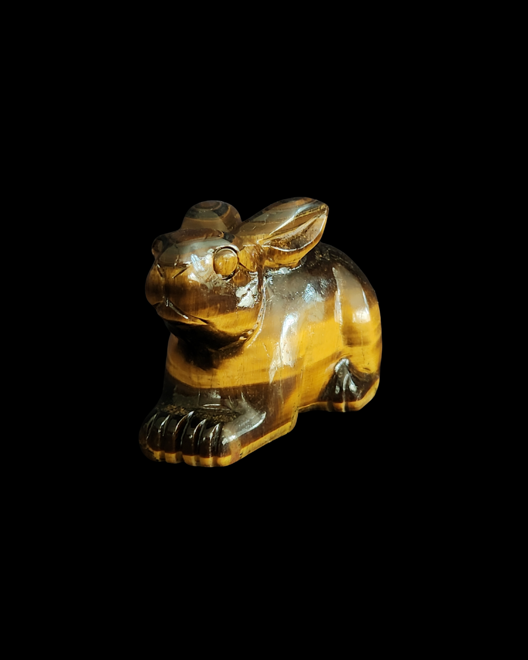 Rabbit - Tigers Eye