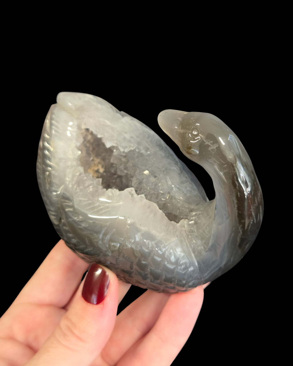 Swan - Agate Geode