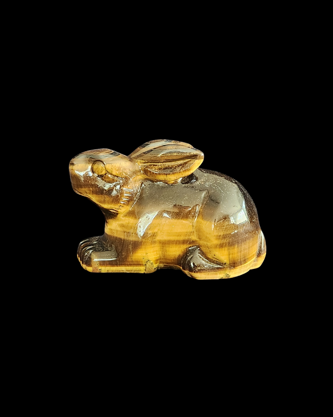 Rabbit - Tigers Eye