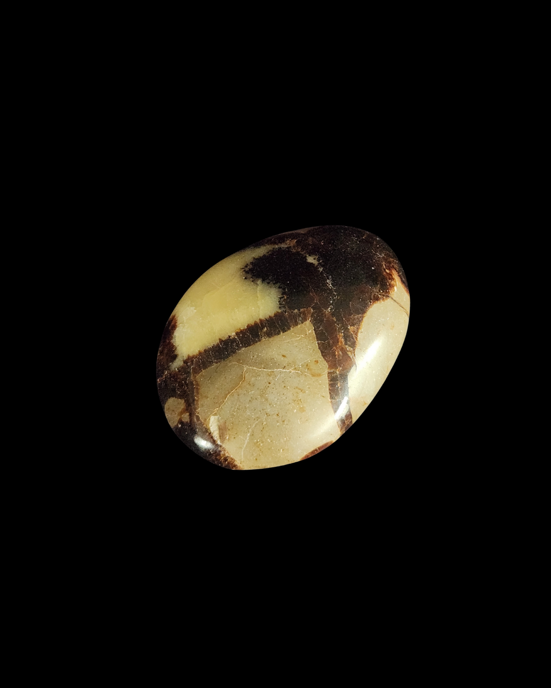 Palm Stone - Septarian