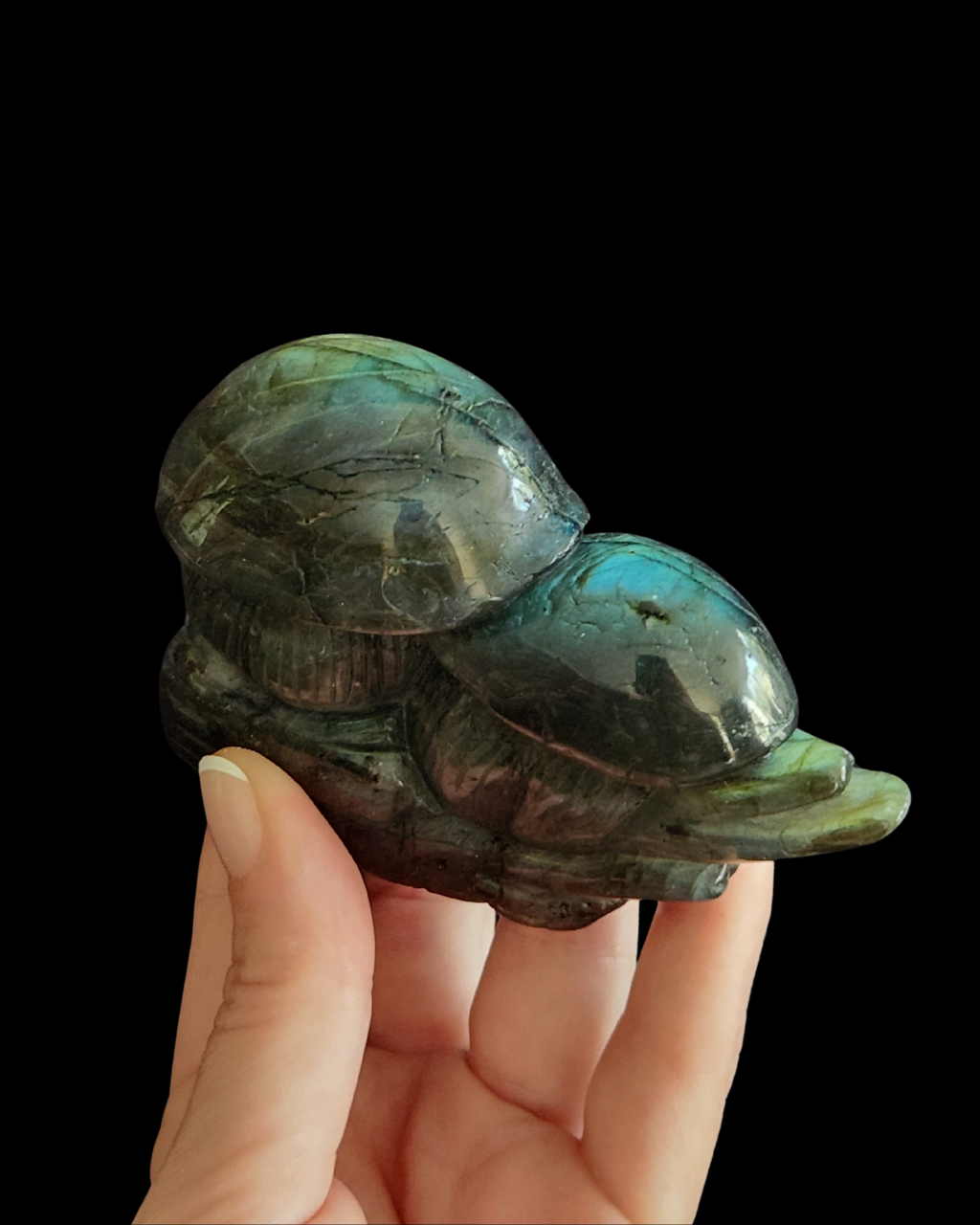 Mushroom - Labradorite