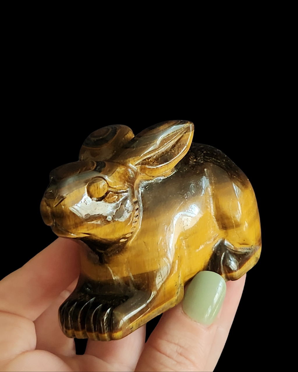 Rabbit - Tigers Eye