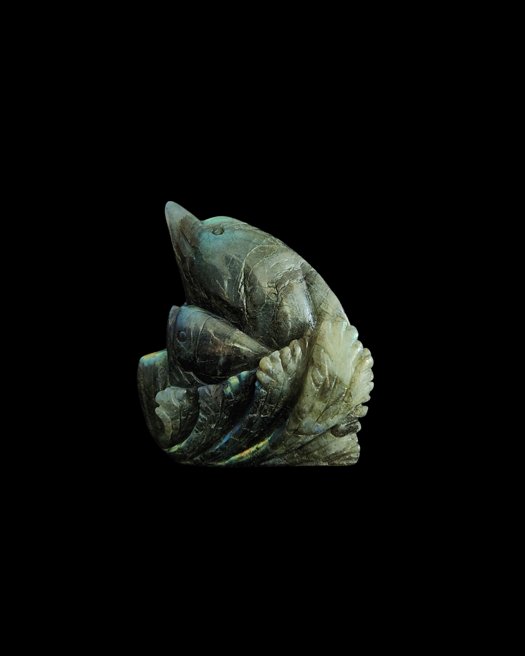Dolphin - Labradorite